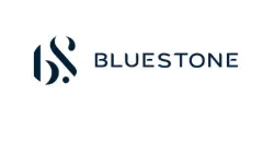 Blue Stone logo